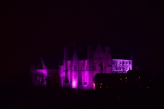 gal_marburg_by_night_(56)